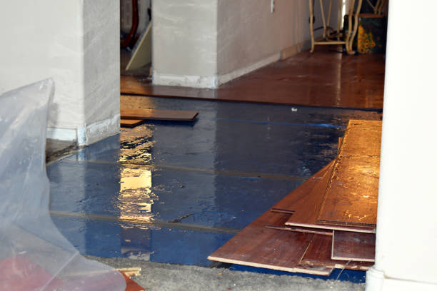 Professional Burst Pipe Cleanup technician working in Merlin, OR